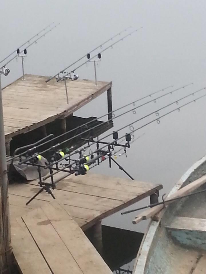 Tancabesti 1 - 2 mar. - z7.jpg